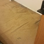 carpet cleaning-reisterstown 1