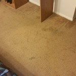 carpet cleaning-reisterstown 2