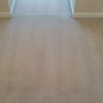 carpet stretching 10