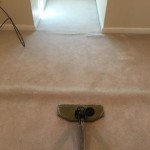 carpet stretching 7