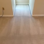 carpet stretching 8