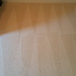 dayton carpet cleaning 5