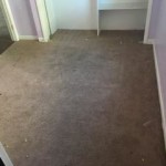 new carpet 4