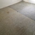 new carpet 6
