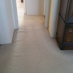 Rosedale carpet stretch 1