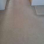 Rosedale carpet stretch 2