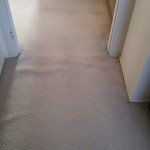 Rosedale carpet stretch 5
