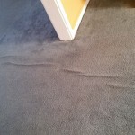 carpet clean 1