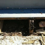 bel air porch repair 1-b