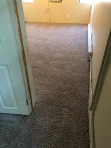 benjamin carpet install 1