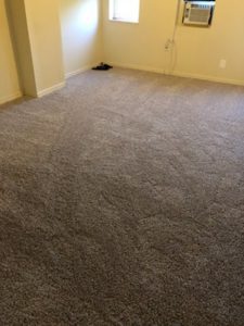 benjamin carpet install 2
