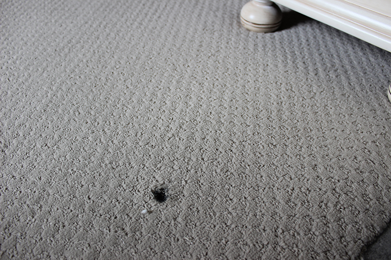 Maryland Carpet Repair  Don't Replace it Repair it!